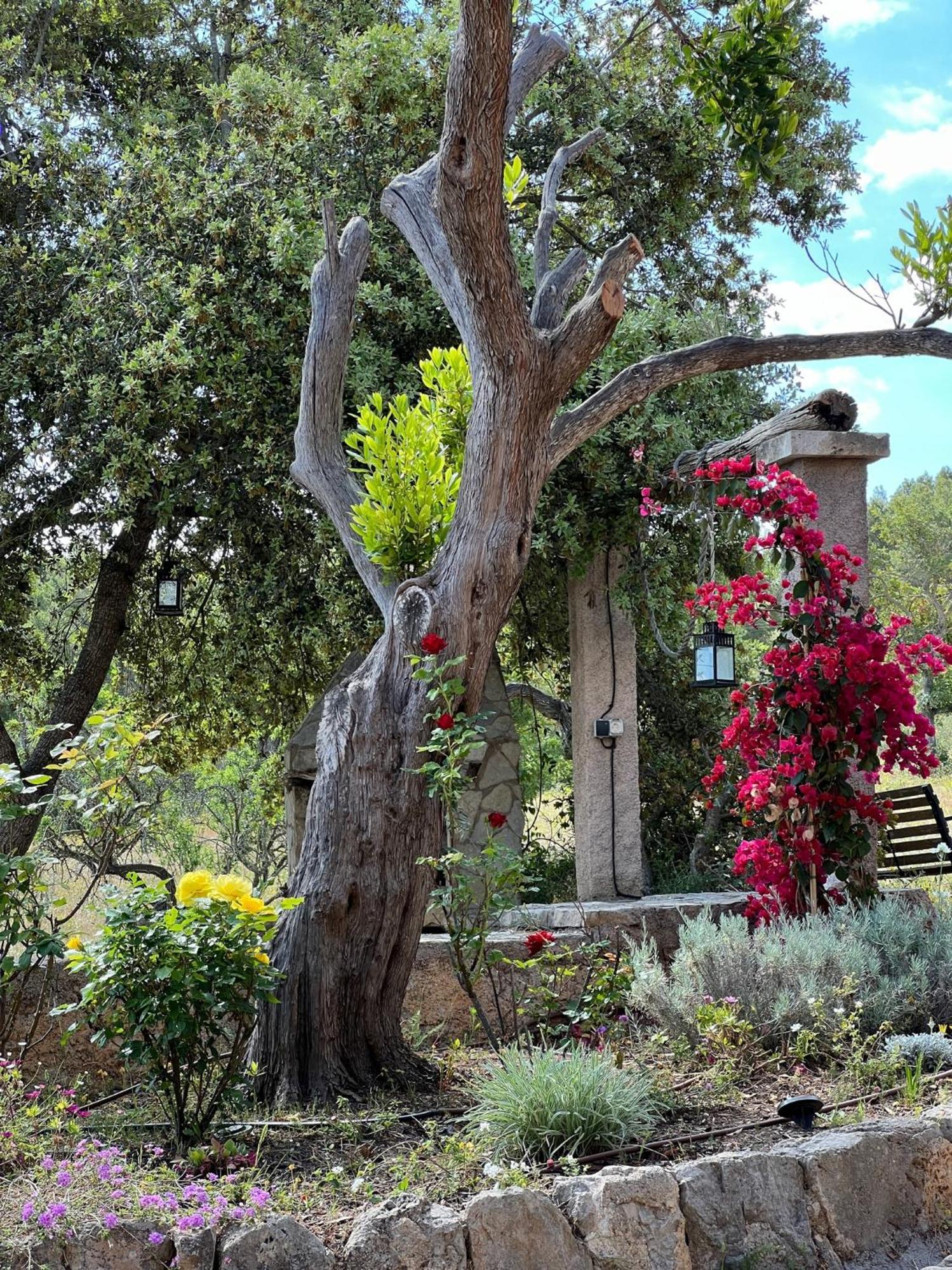 Finca Canfirella Portocolom Felanitx Exterior foto